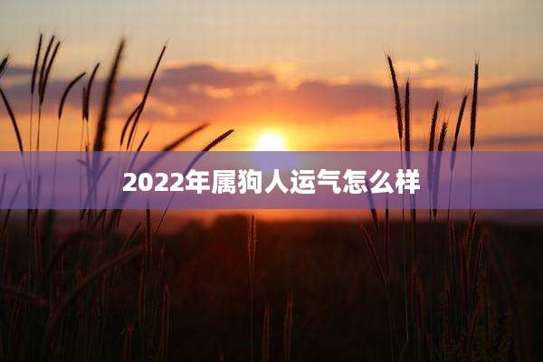 2022年属狗人运气怎么样