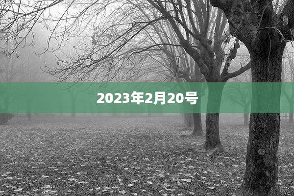 2023年2月20号