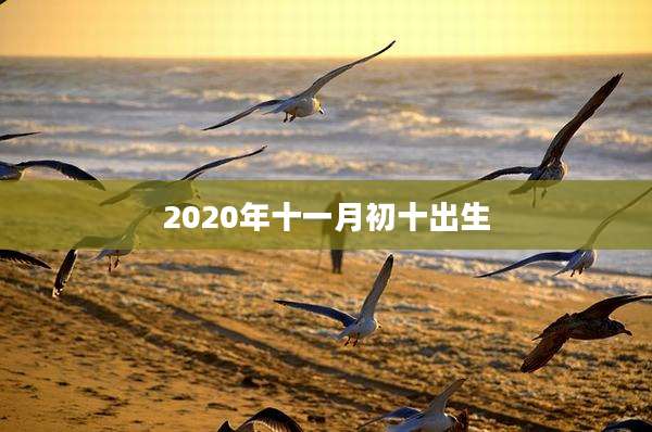 2020年十一月初十出生