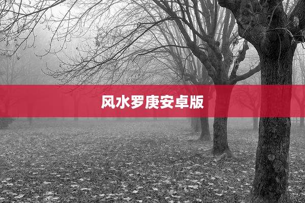 风水罗庚安卓版