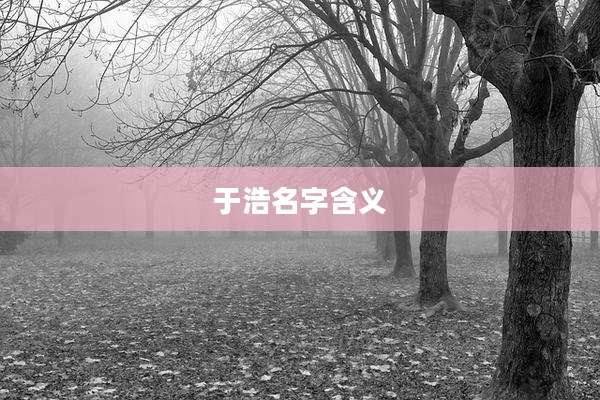 于浩名字含义