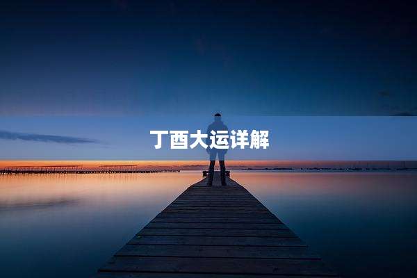 丁酉大运详解