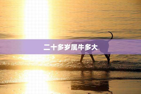 二十多岁属牛多大