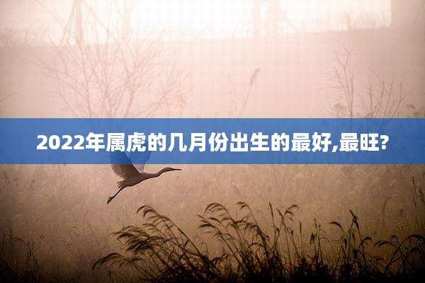 2022年属虎的几月份出生的最好,最旺?