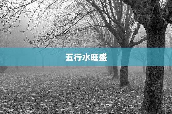 五行水旺盛