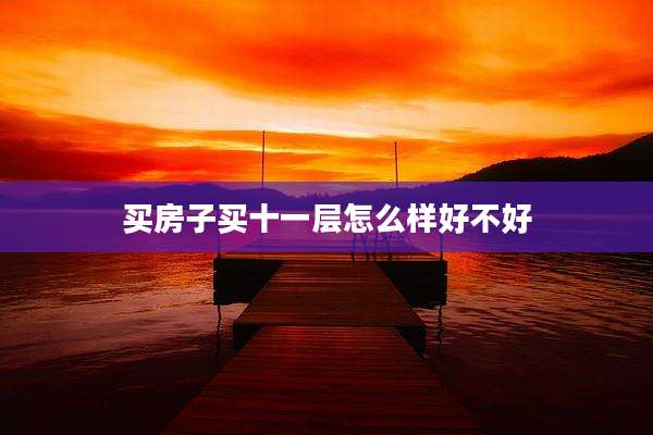 买房子买十一层怎么样好不好