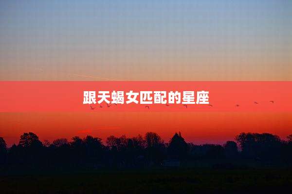 跟天蝎女匹配的星座