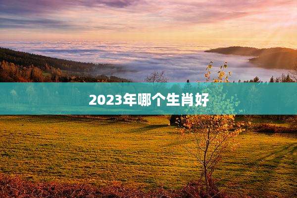 2023年哪个生肖好