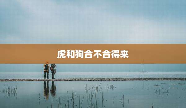 虎和狗合不合得来