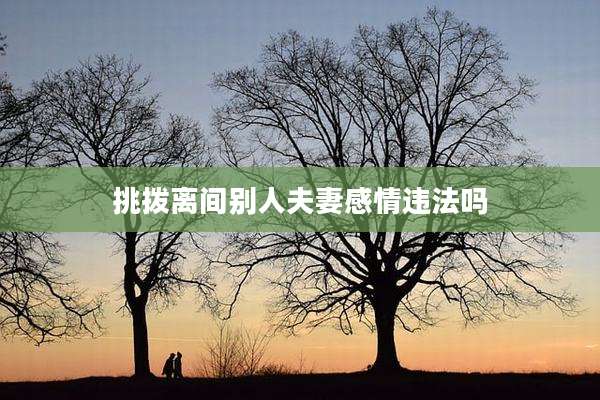 挑拨离间别人夫妻感情违法吗