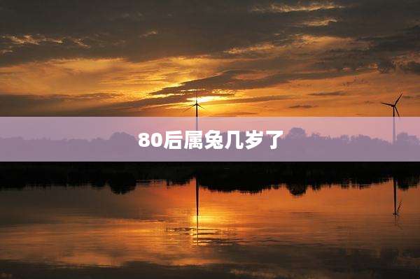 80后属兔几岁了