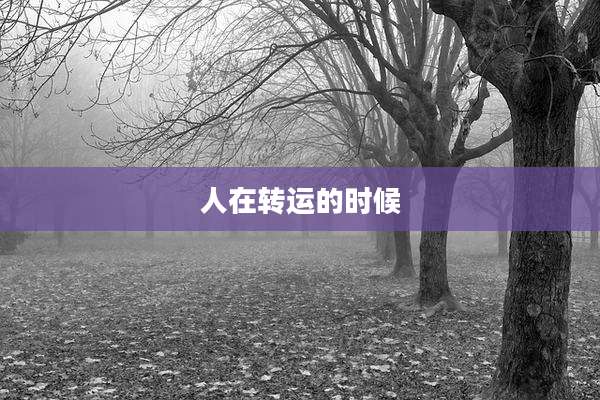 人在转运的时候
