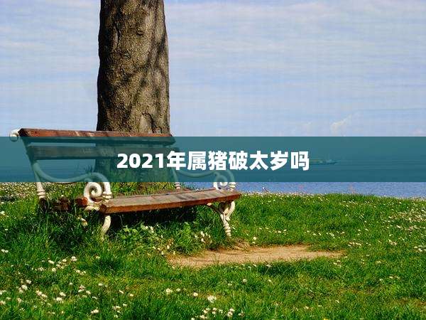 2021年属猪破太岁吗