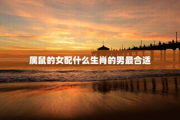 属鼠的女配什么生肖的男最合适