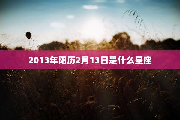 2013年阳历2月13日是什么星座