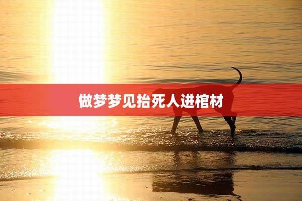 做梦梦见抬死人进棺材