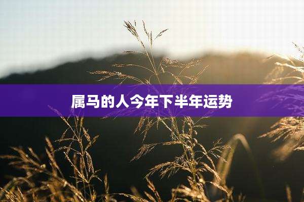 属马的人今年下半年运势