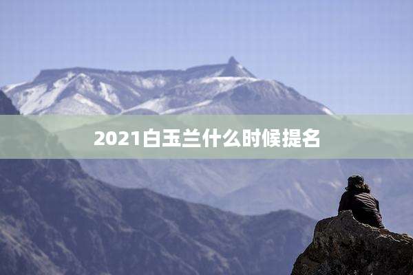 2021白玉兰什么时候提名