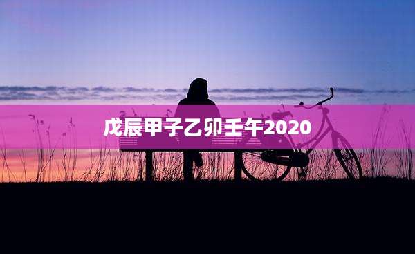 戊辰甲子乙卯壬午2020