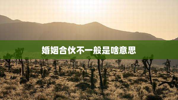 婚姻合伙不一般是啥意思