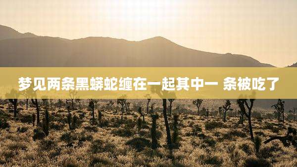 梦见两条黑蟒蛇缠在一起其中一 条被吃了