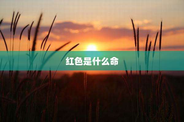 红色是什么命