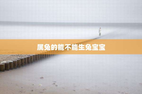 属兔的能不能生兔宝宝