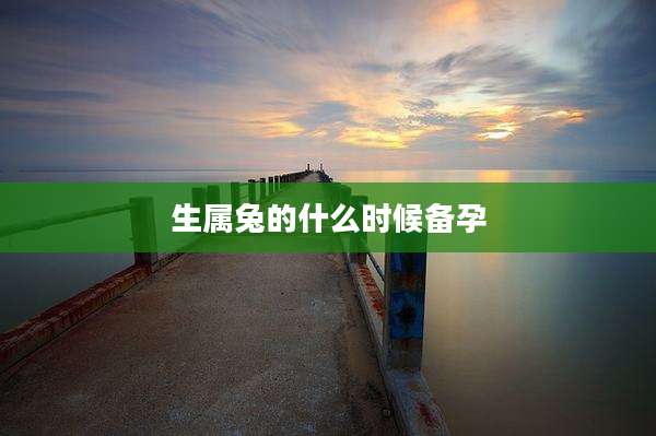 生属兔的什么时候备孕