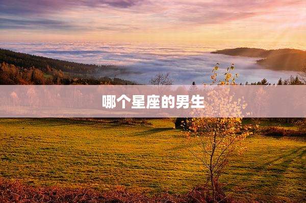 哪个星座的男生
