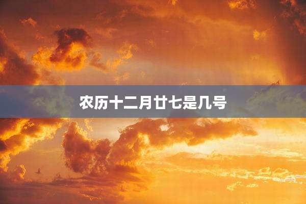 农历十二月廿七是几号