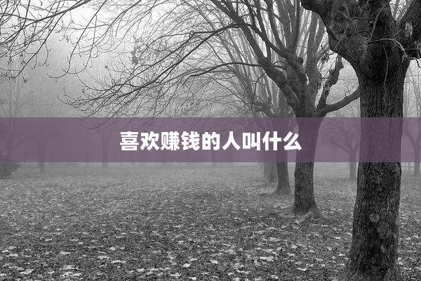喜欢赚钱的人叫什么