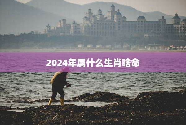 2024年属什么生肖啥命