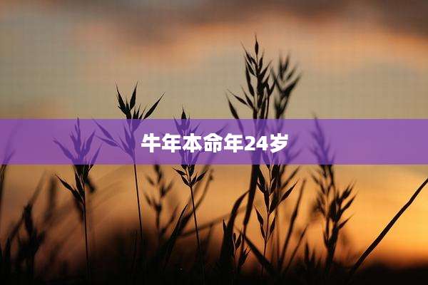 牛年本命年24岁