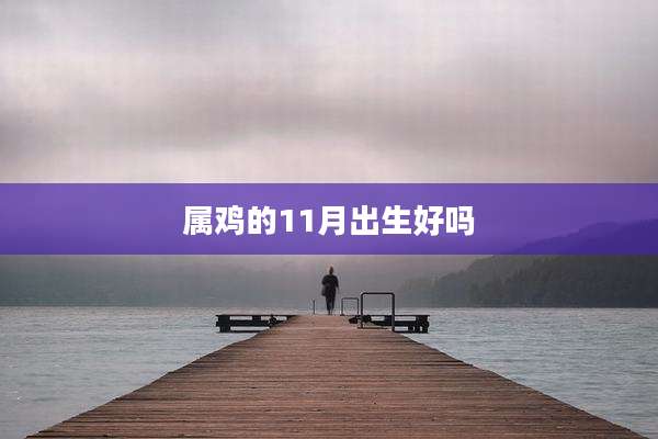 属鸡的11月出生好吗