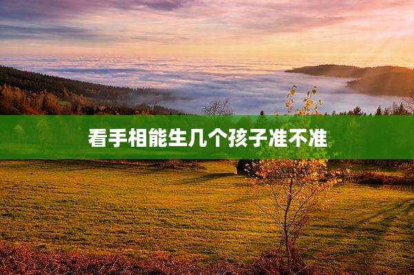 看手相能生几个孩子准不准