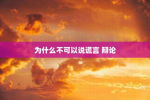 为什么不可以说谎言 辩论