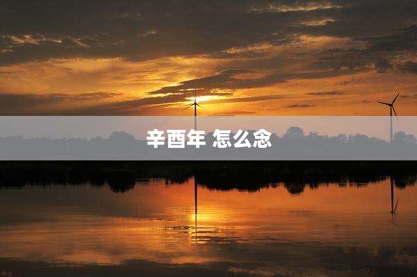 辛酉年 怎么念