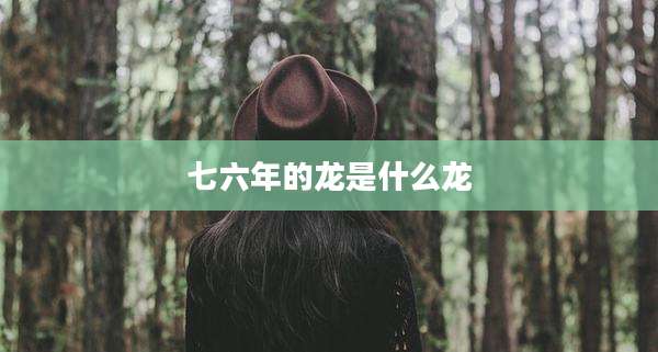 七六年的龙是什么龙