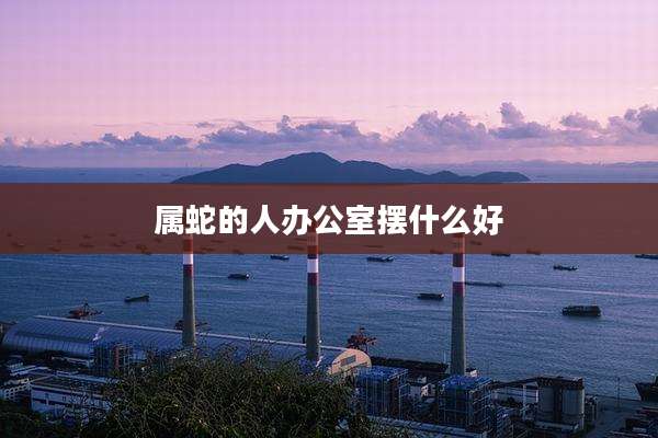 属蛇的人办公室摆什么好