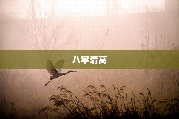 八字清高