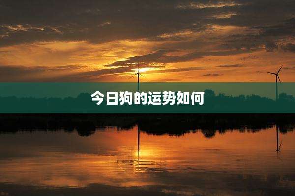 今日狗的运势如何