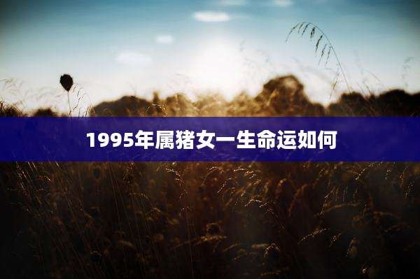 1995年属猪女一生命运如何