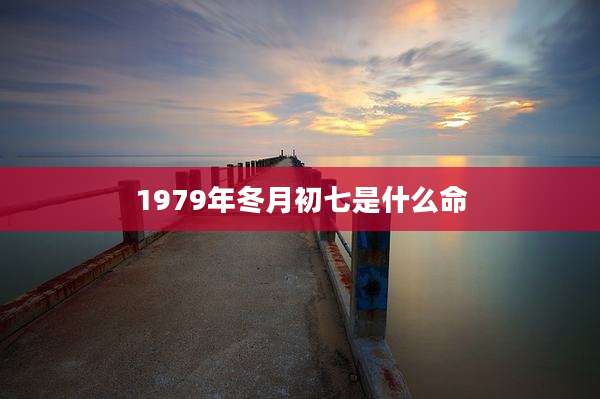 1979年冬月初七是什么命
