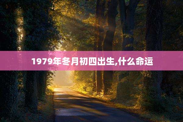 1979年冬月初四出生,什么命运