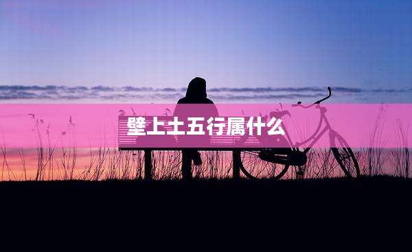 壁上土五行属什么