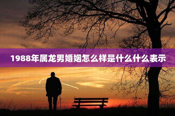 1988年属龙男婚姻怎么样是什么什么表示