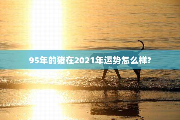 95年的猪在2021年运势怎么样?