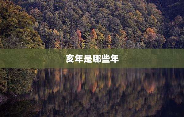 亥年是哪些年