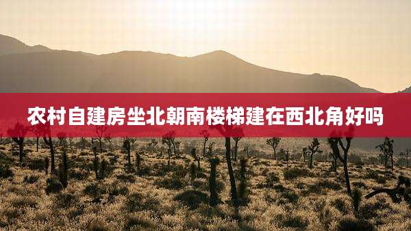 农村自建房坐北朝南楼梯建在西北角好吗