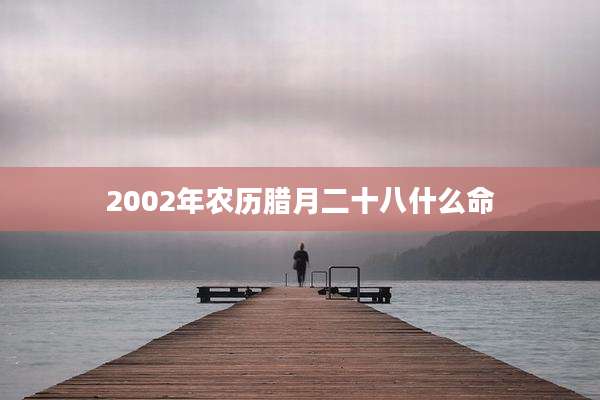 2002年农历腊月二十八什么命